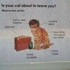 quichecat0721